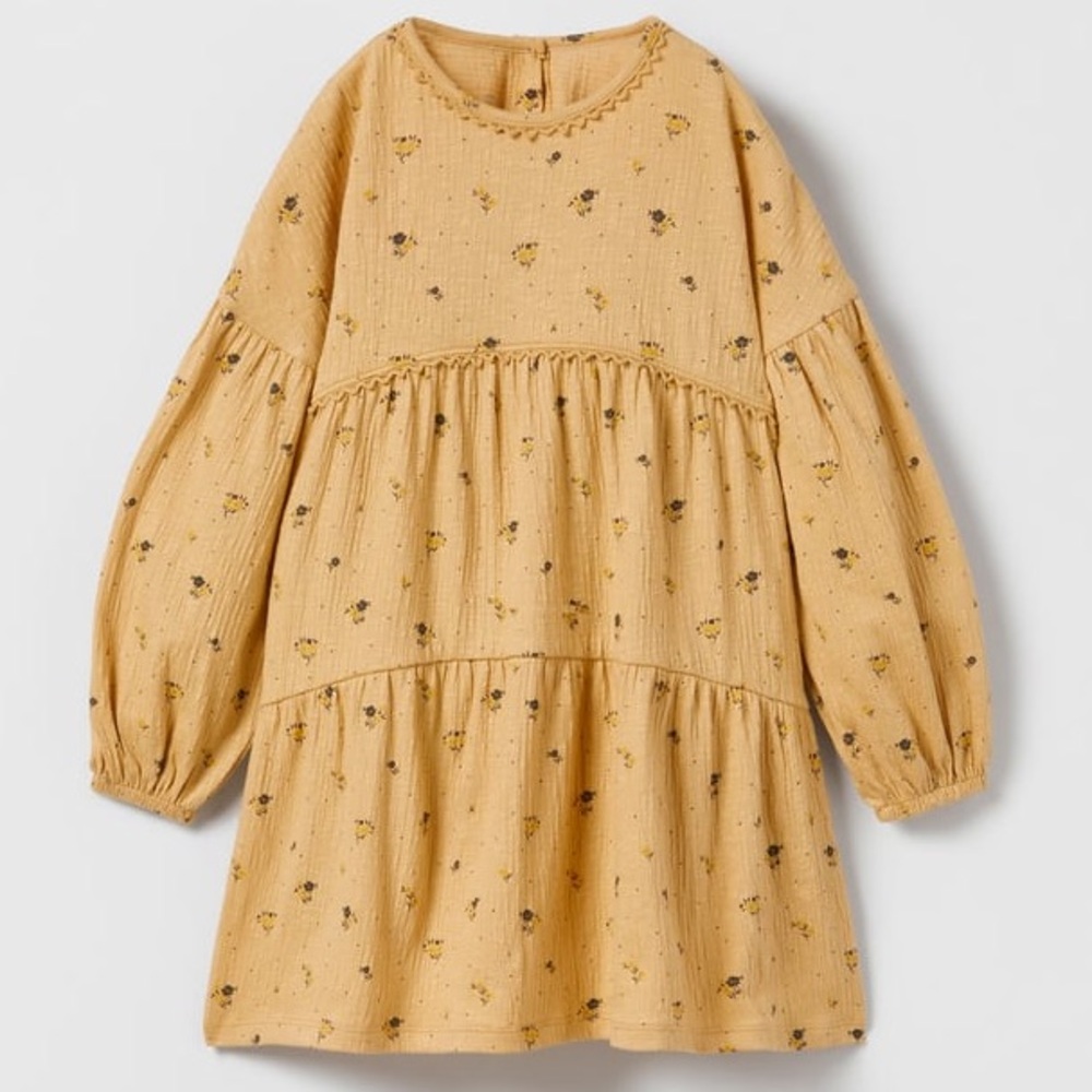 Zara Dress